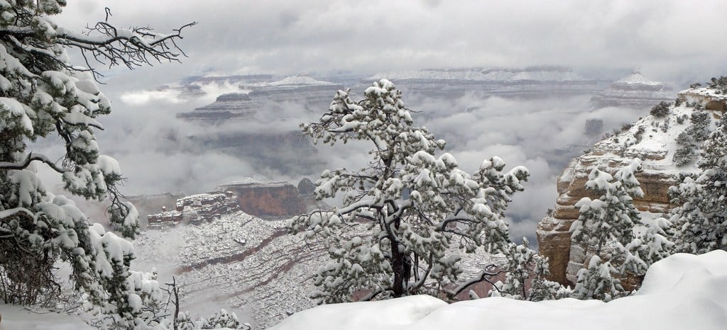 snowy grand canyon