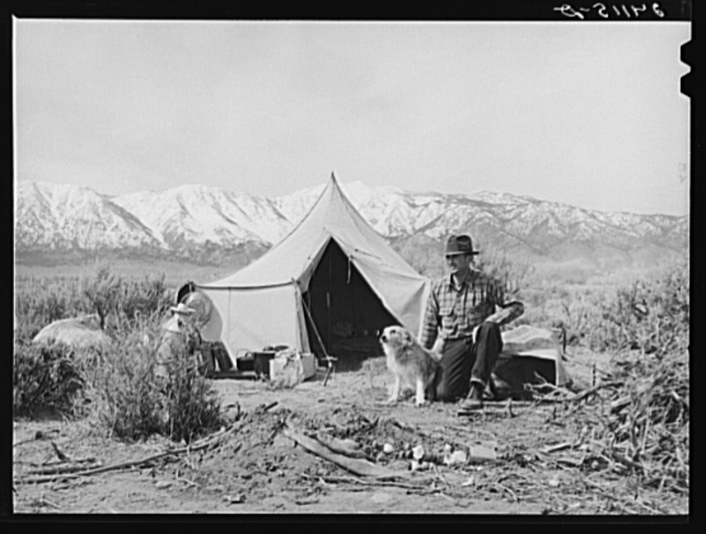 old black and white image of sheepherder and dog at camp