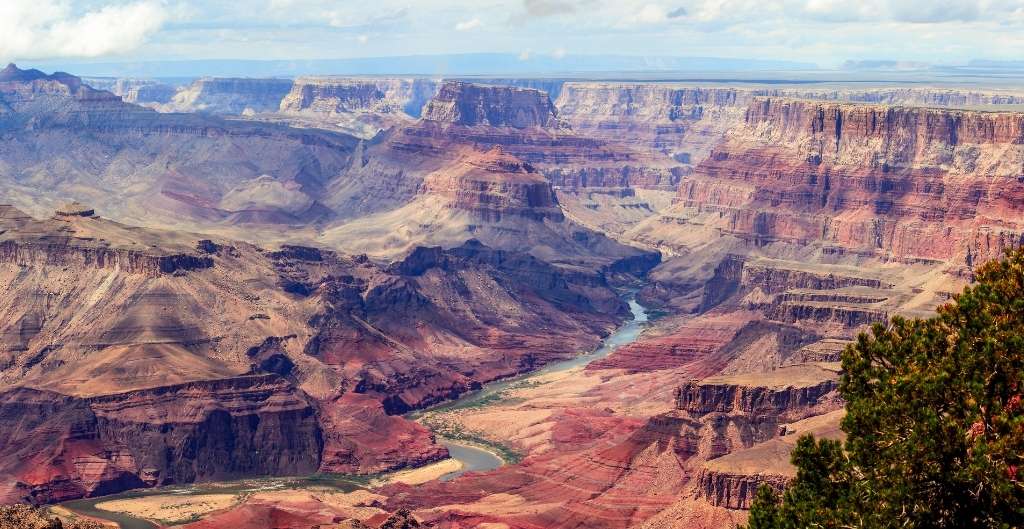 looking down into the grand canyon