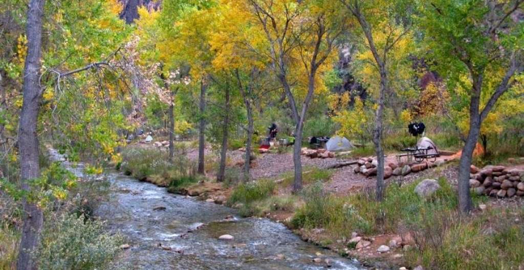 trees with fall foliage along a river