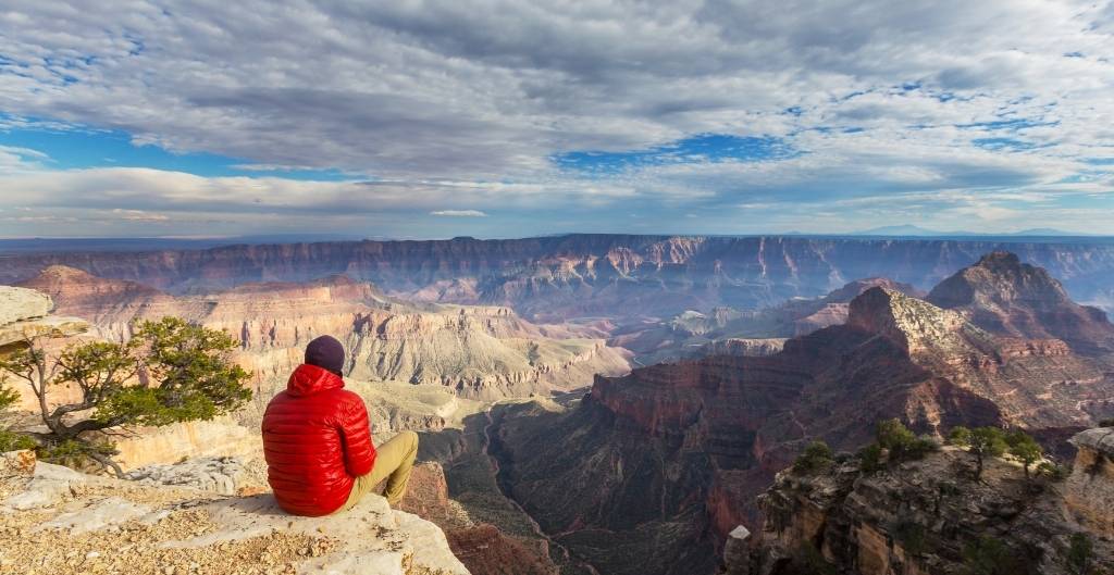 person in red jacket sitting above the grand canyon looking out
