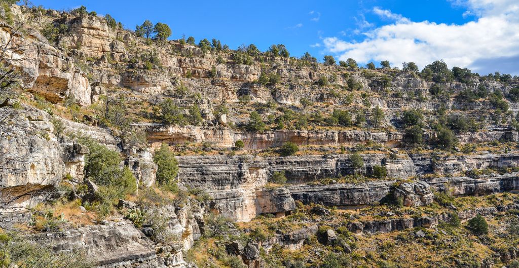 layers of rock and foliage in walnut canyon