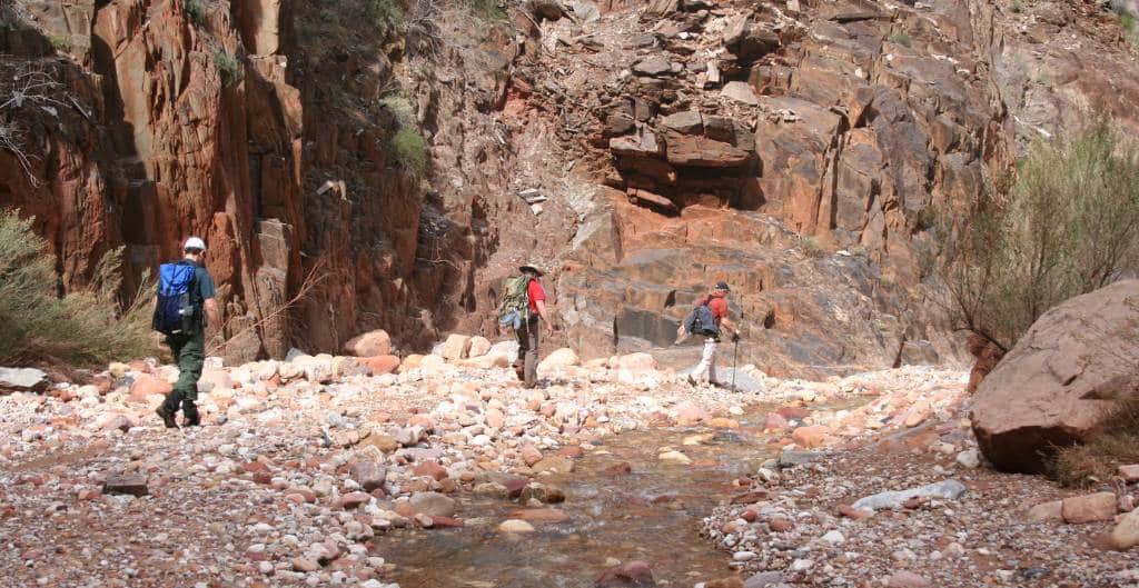 group of people hiking in the grand canyon next to creek 