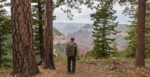 Grand Canyon North Rim view point