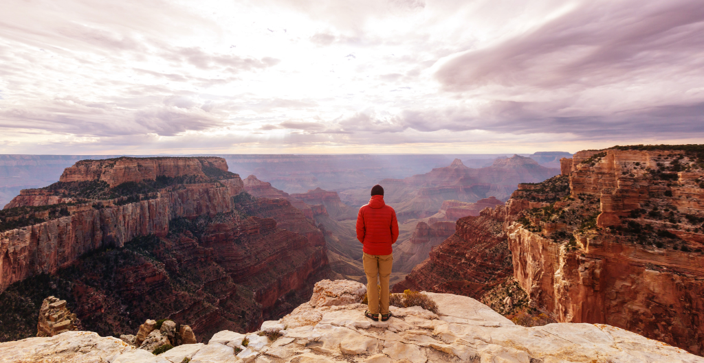 person overlooking expansive views of the grand canyon