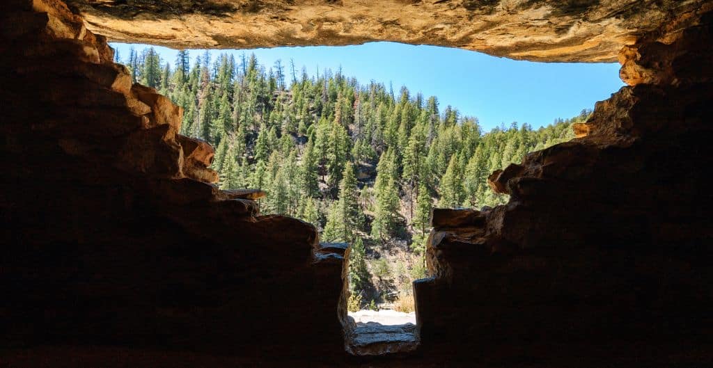 looking out at the forest from a cave dwelling in Walnut Canyon, AZ