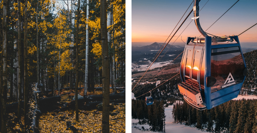 fall aspens and a winter gondola at arizona snowboal