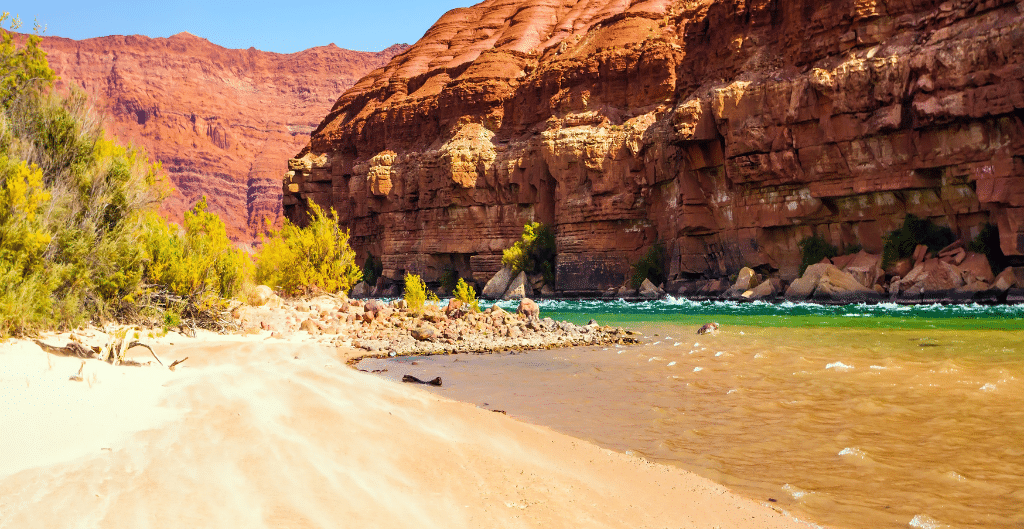 turquoise water and red cliffs at lees ferry, the premier location for fishing in the grand canyon on the colorado river